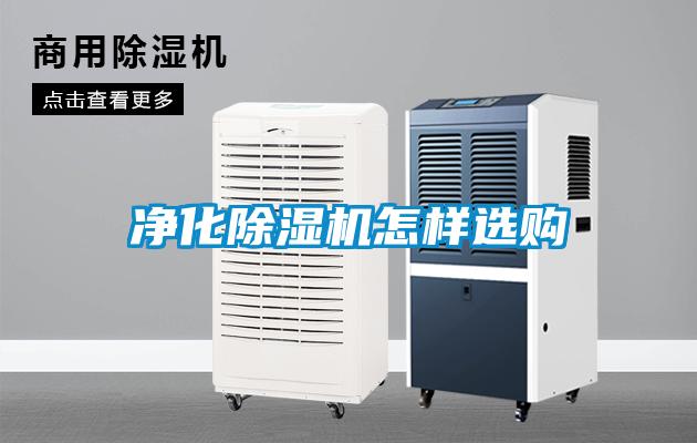 欧美黄色电影在线播放 净化除湿机怎样选购