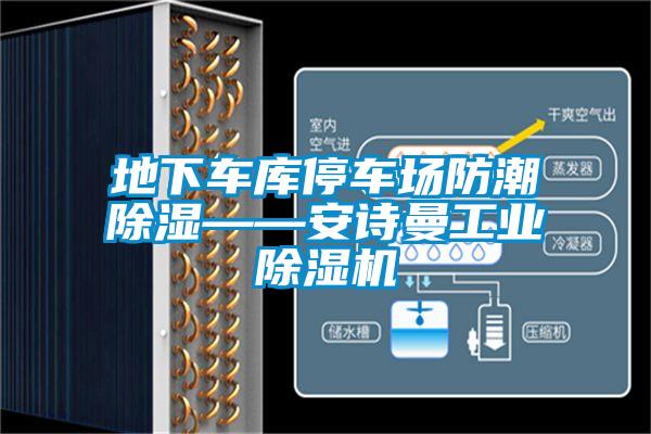欧美黄色电影在线播放 地下车库停车场防潮除湿——安诗曼工业除湿机