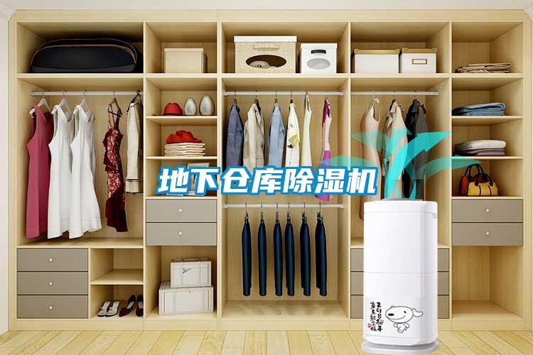 欧美黄色电影在线播放 地下仓库除湿机