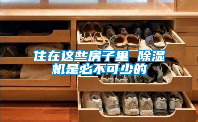 欧美成色手机在线观看 住在这些房子里 除湿机是必不可少的