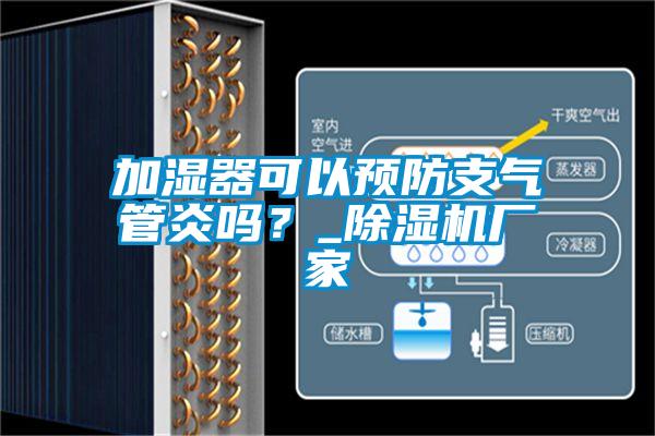 欧美黄色性爱视频网站 加湿器可以预防支气管炎吗？_除湿机厂家