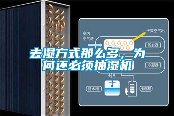 欧美黄色性爱视频网站 去湿方式那么多，为何还必须抽湿机