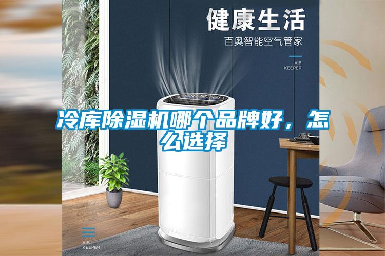 欧美黄色性爱视频网站 冷库除湿机哪个品牌好，怎么选择