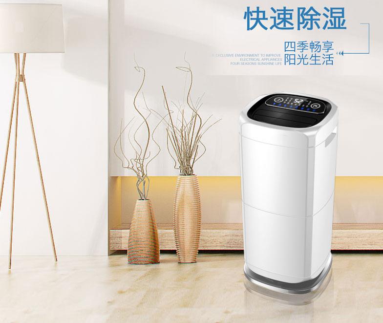 欧美黄色电影在线播放 南方城市用除湿机