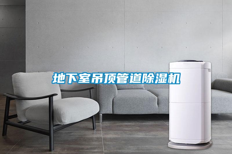欧美黄色电影在线播放 地下室吊顶管道除湿机