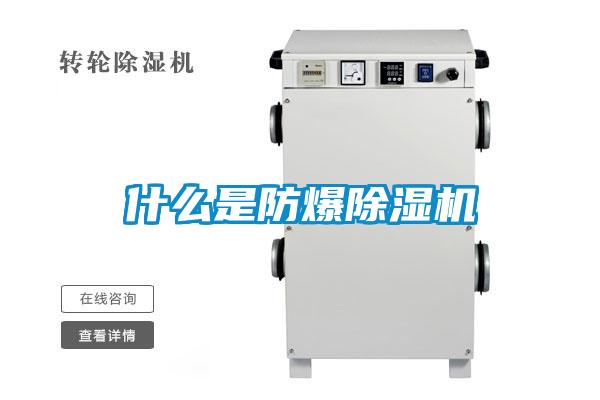 欧美黄色性爱视频网站 什么是防爆除湿机