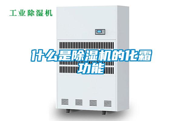 欧美黄色性爱视频网站 什么是除湿机的化霜功能