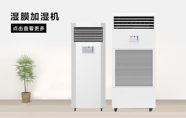 欧美黄色性爱视频网站 别墅中怎么搭配除湿机