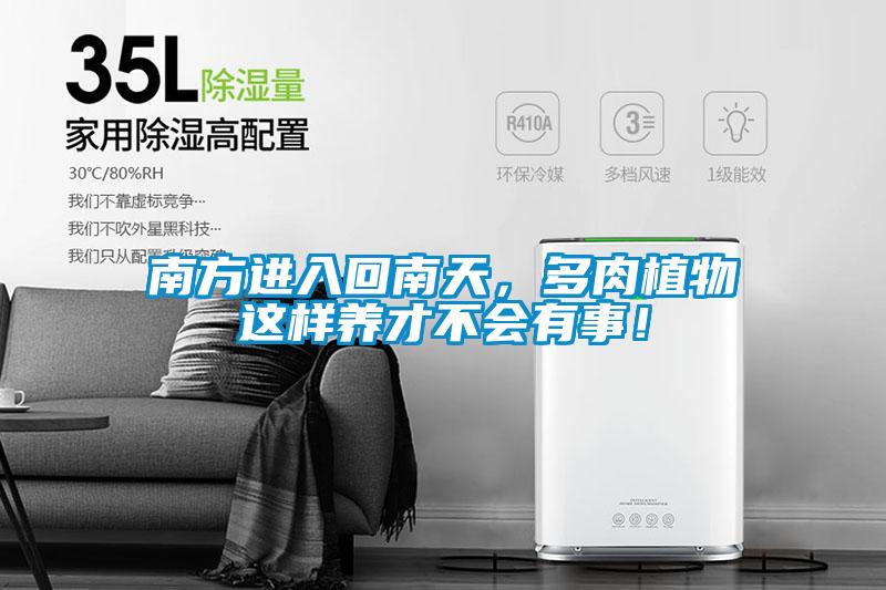 欧美成色手机在线观看 南方进入回南天，多肉植物这样养才不会有事！
