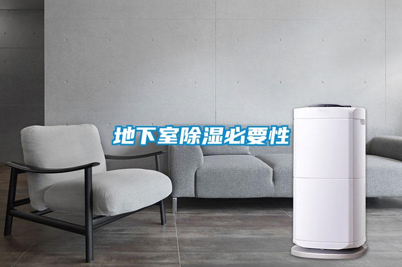 欧美成色手机在线观看 地下室除湿必要性