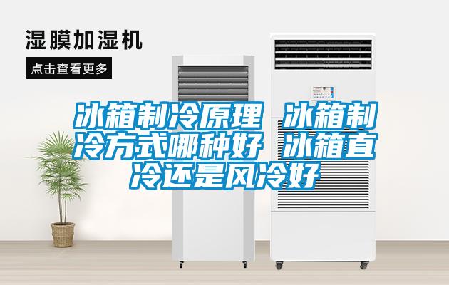 欧美黄色性爱视频网站 冰箱制冷原理 冰箱制冷方式哪种好 冰箱直冷还是风冷好