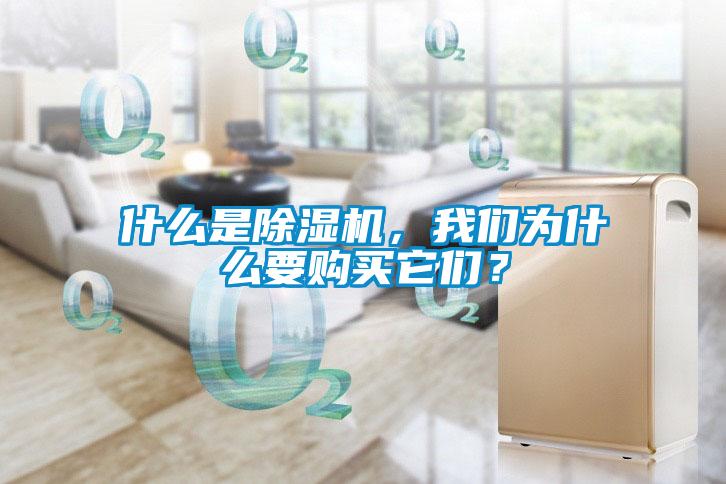 欧美黄色电影在线播放 什么是除湿机，我们为什么要购买它们？
