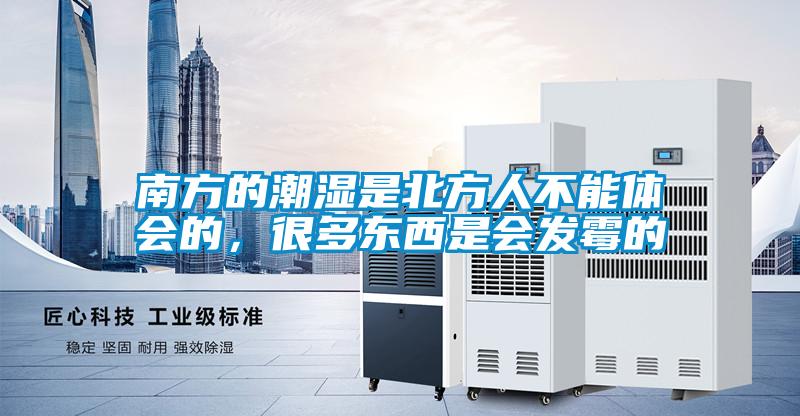 欧美黄色电影在线播放 南方的潮湿是北方人不能体会的，很多东西是会发霉的