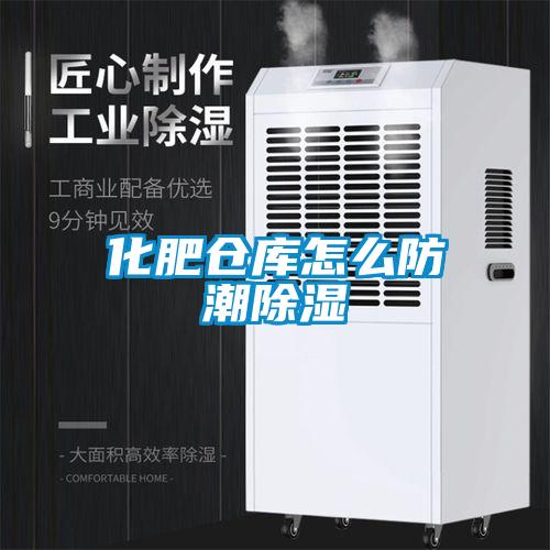 欧美黄色性爱视频网站 化肥仓库怎么防潮除湿