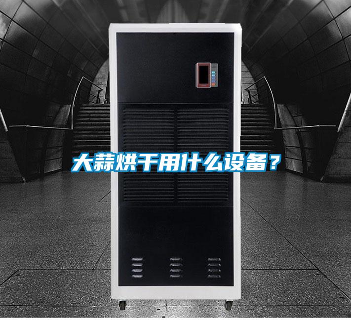 欧美黄色电影在线播放 大蒜烘干用什么设备？