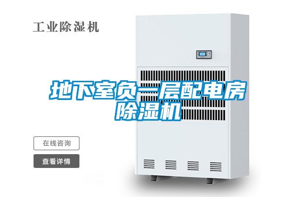 欧美黄色电影在线播放 地下室负一层配电房除湿机