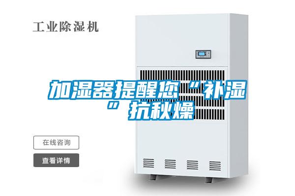 欧美黄色电影在线播放 加湿器提醒您“补湿”抗秋燥