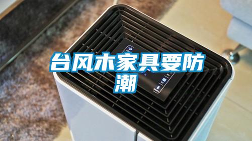 欧美成色手机在线观看 台风木家具要防潮