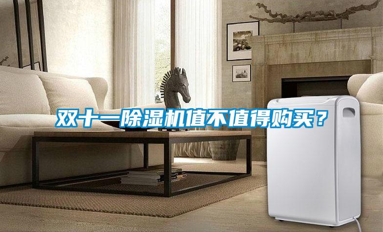 欧美成色手机在线观看 双十一除湿机值不值得购买？