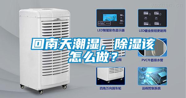 欧美黄色性爱视频网站 回南天潮湿，除湿该怎么做？
