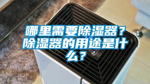 欧美黄色电影在线播放 哪里需要除湿器？除湿器的用途是什么？