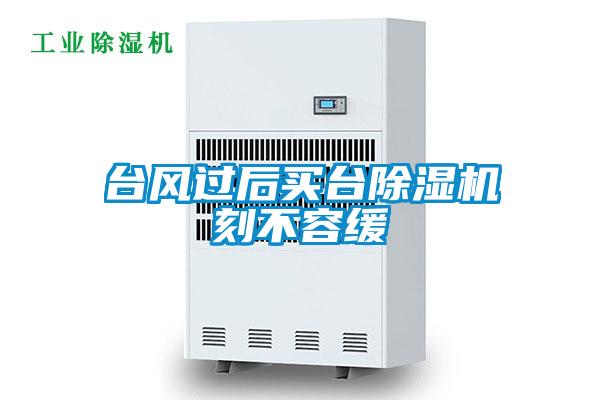 欧美黄色电影在线播放 台风过后买台除湿机刻不容缓
