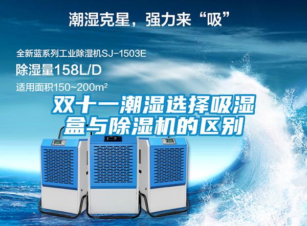 欧美黄色性爱视频网站 双十一潮湿选择吸湿盒与除湿机的区别