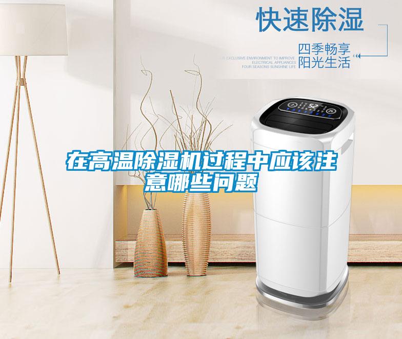欧美成色手机在线观看 在高温除湿机过程中应该注意哪些问题