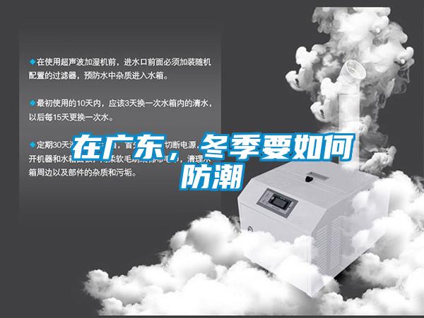 欧美黄色电影在线播放 在广东，冬季要如何防潮