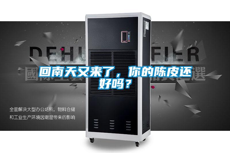 欧美成色手机在线观看 回南天又来了，你的陈皮还好吗？
