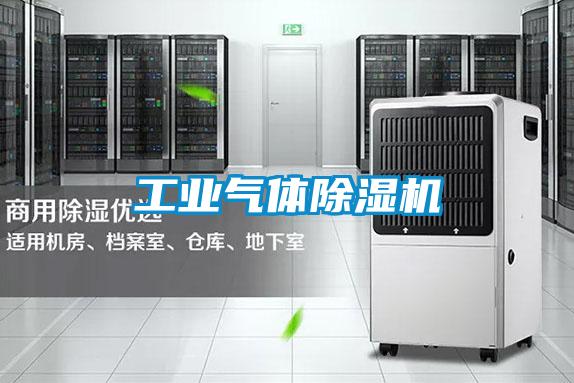 欧美黄色电影在线播放 工业气体除湿机