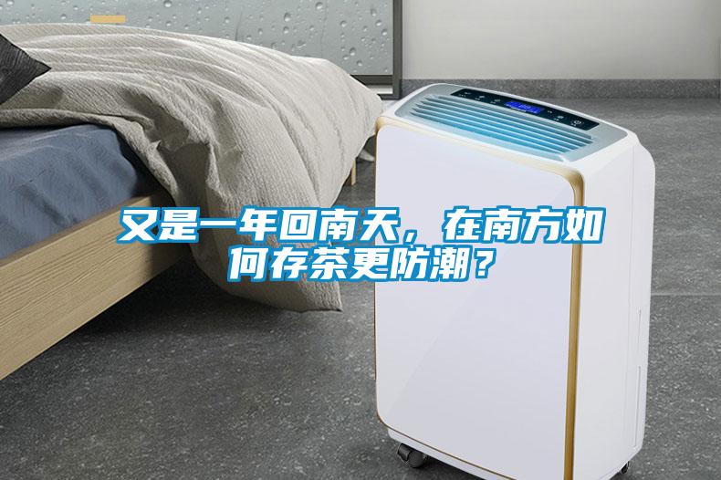 欧美黄色电影在线播放 又是一年回南天，在南方如何存茶更防潮？