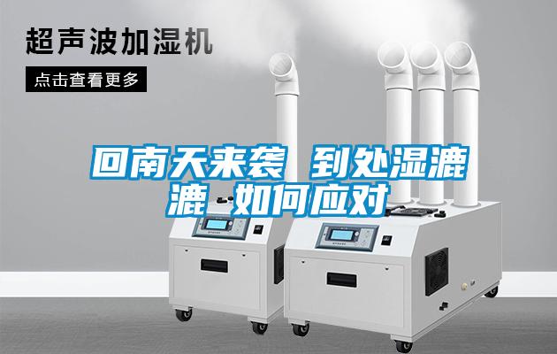 欧美成色手机在线观看 回南天来袭 到处湿漉漉 如何应对