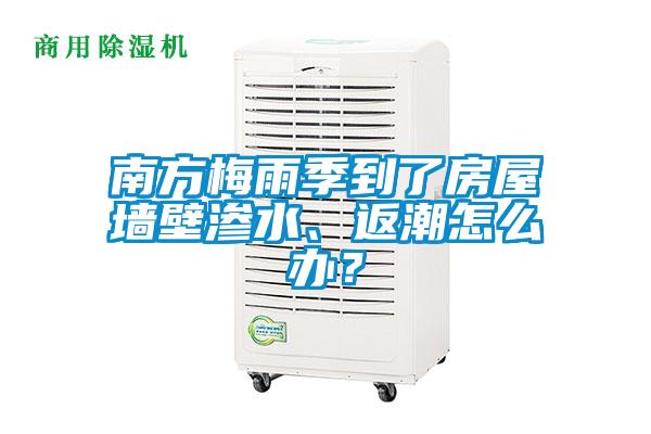 欧美黄色电影在线播放 南方梅雨季到了房屋墙壁渗水、返潮怎么办？