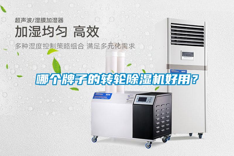 欧美黄色电影在线播放 哪个牌子的转轮除湿机好用？
