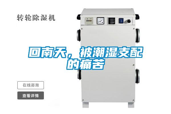 欧美成色手机在线观看 回南天，被潮湿支配的痛苦