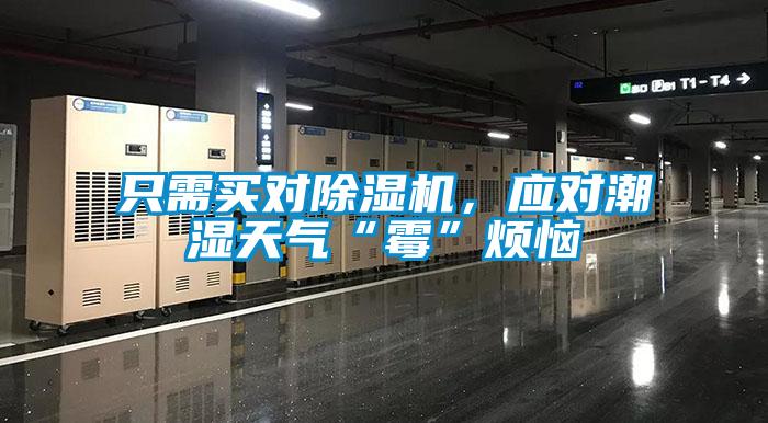 欧美黄色电影在线播放 只需买对除湿机，应对潮湿天气“霉”烦恼