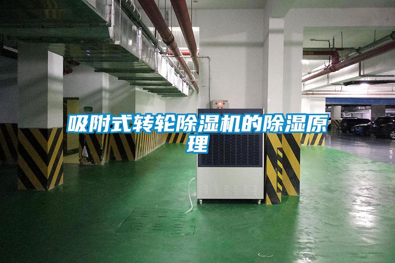 欧美黄色电影在线播放 吸附式转轮除湿机的除湿原理