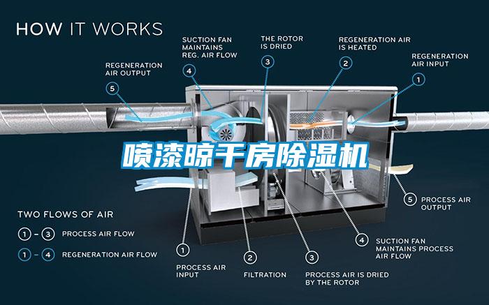 欧美黄色性爱视频网站 喷漆晾干房除湿机