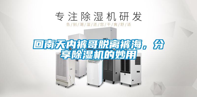 欧美黄色电影在线播放 回南天内裤哥脱离裤海，分享除湿机的妙用