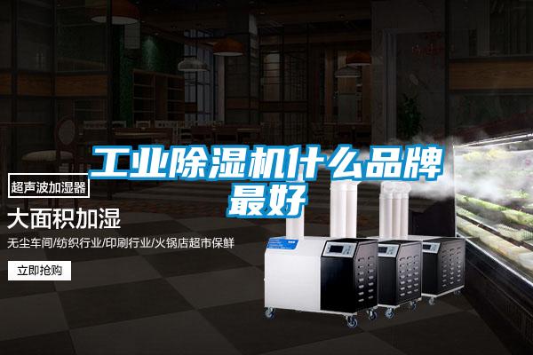 欧美黄色性爱视频网站 工业除湿机什么品牌最好