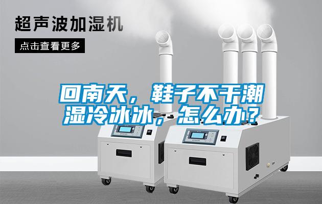 欧美黄色性爱视频网站 回南天，鞋子不干潮湿冷冰冰，怎么办？