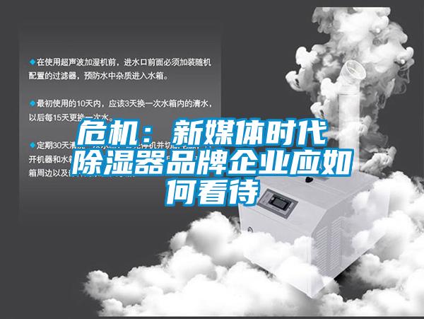 欧美黄色电影在线播放 危机：新媒体时代 除湿器品牌企业应如何看待