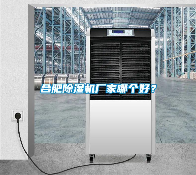 欧美黄色性爱视频网站 合肥除湿机厂家哪个好？