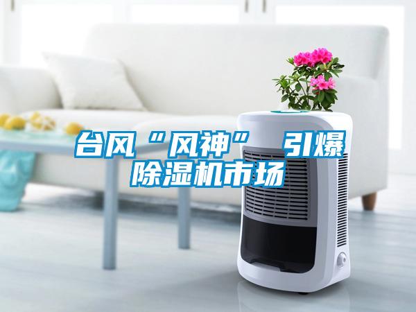 欧美黄色性爱视频网站 台风“风神” 引爆除湿机市场