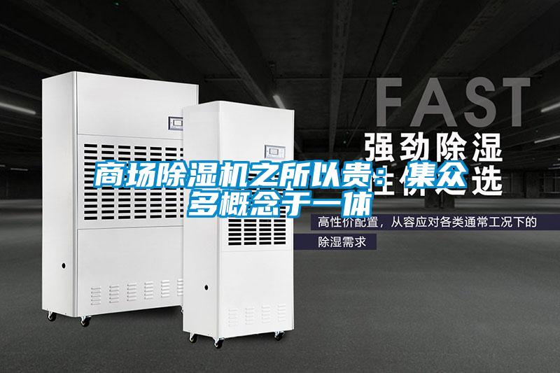 欧美黄色电影在线播放 商场除湿机之所以贵：集众多概念于一体