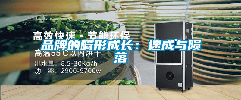 欧美黄色性爱视频网站 品牌的畸形成长：速成与陨落