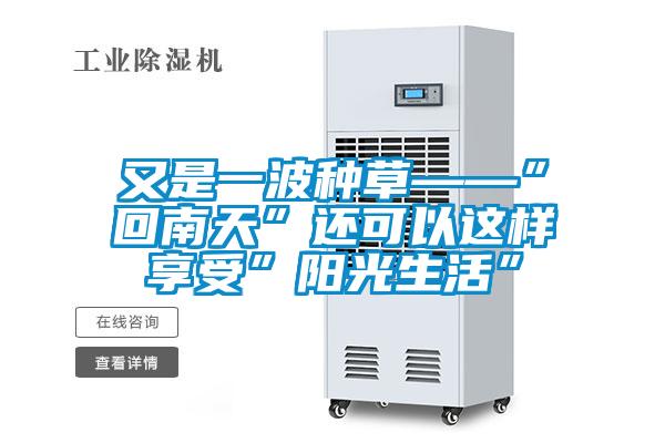 欧美黄色电影在线播放 又是一波种草——”回南天”还可以这样享受”阳光生活”