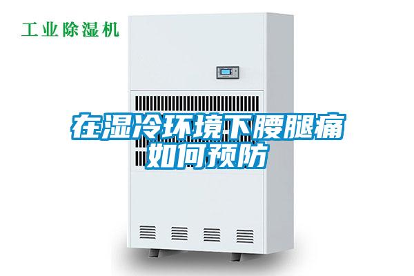 欧美黄色性爱视频网站 在湿冷环境下腰腿痛如何预防