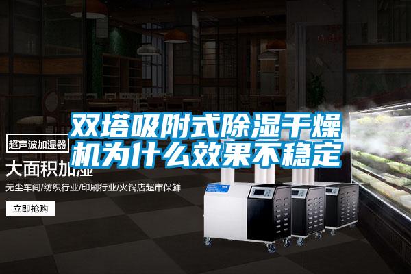 欧美黄色性爱视频网站 双塔吸附式除湿干燥机为什么效果不稳定